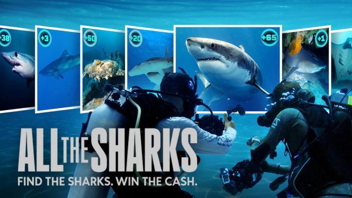 مسلسل All the Sharks الموسم الاول الحلقة 2
